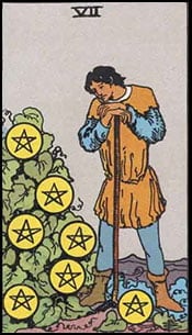 7-Seven-of-Pentacles.jpg