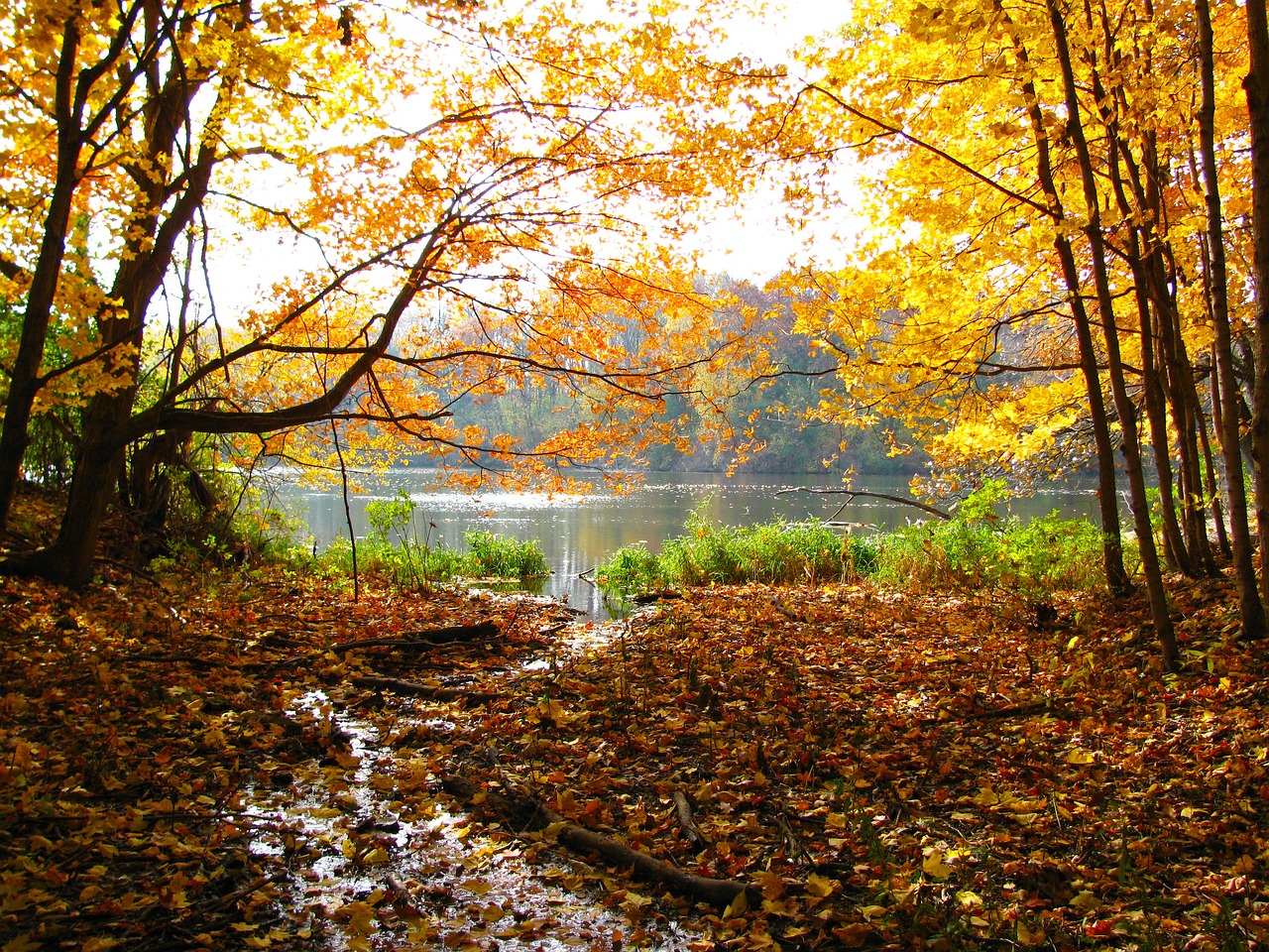 autumn-6782121_1280.jpg