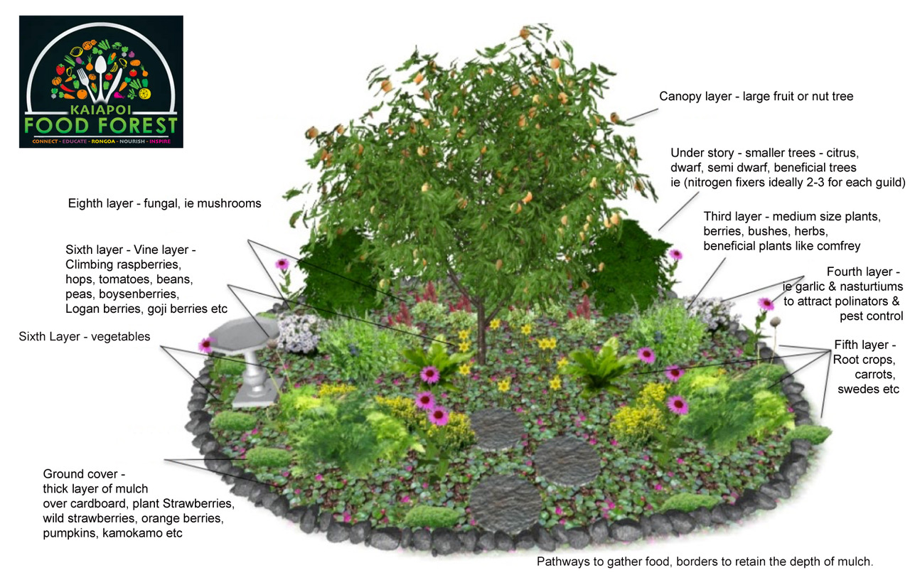 Food-Forest-design-overview-3924845468.jpeg