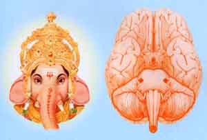 ganesh_in_the_brain.jpg