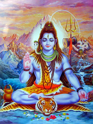 shiva_5fd3dbb8-39d6-4d1d-80be-bfd476e31706_grande.png