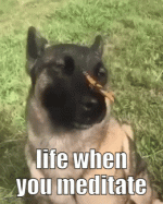 meditate.gif