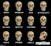 skulls.png