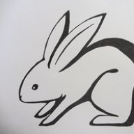 ShadowBunny