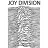 joydivision