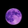 The-Purple-Moon